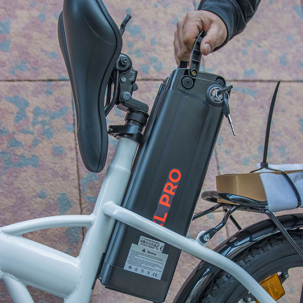 Bici Elettrica INGLOBAL