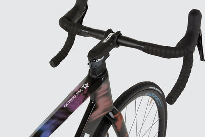 BICI GUERCIOTTI CARTESIO