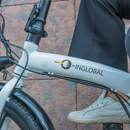 Bici Elettrica INGLOBAL